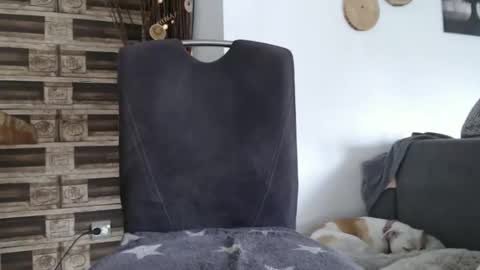 despotar123 online show from 10/07/25, 11:18