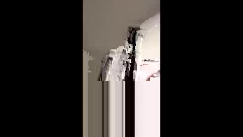 Snapshot of dickdiesel1989 chatting on 11/02/25, 01:08 dickdiesel1989 online show from 11/02/25, 01:08