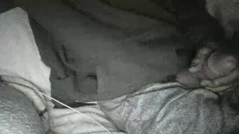 dick online show from 01/10/25, 11:33