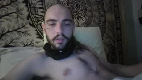 Snapshot of didismurf02 chatting on 12/16/24, 12:04 didismurf02 online show from 12/16/24, 12:04