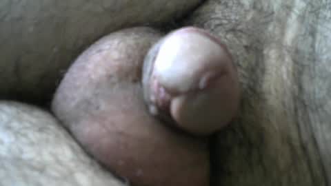 Bob online show from 01/11/25, 08:33