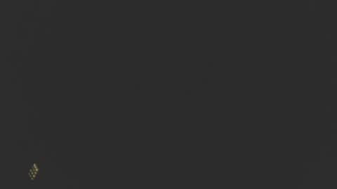 Snapshot of dinchtcams chatting on 02/24/25, 10:04 Dincht online show from 02/24/25, 10:04