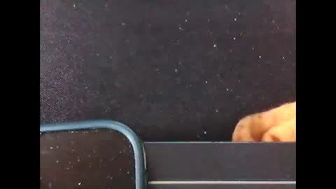 diogominer2 online show from 11/24/25, 12:27