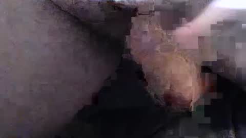 Snapshot of dirtyadventurer chatting on 01/22/25, 06:41 dirtyadventurer online show from 01/22/25, 06:41