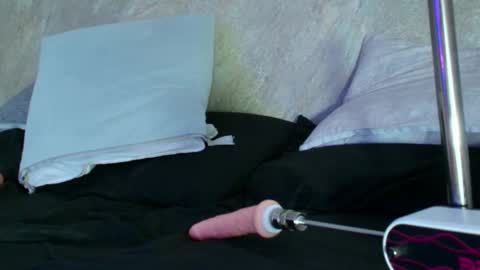 Snapshot of dixie_grey1 chatting on 09/11/25, 02:50 Sofia online show from 09/11/25, 02:50