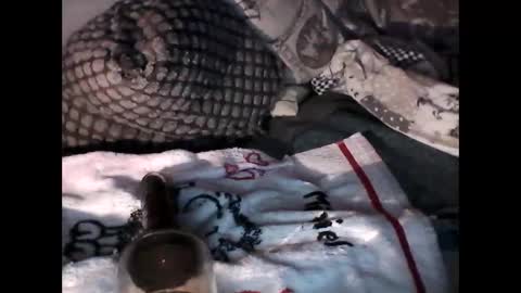 djangodave569829 online show from 10/04/25, 11:25