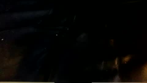 dogstarmanitee online show from 12/24/24, 08:22