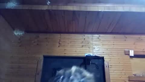 Snapshot of dollface_89 chatting on 09/29/25, 03:00 dollface_89 online show from 09/29/25, 03:00