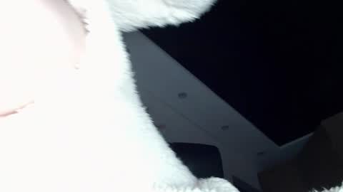 Snapshot of dolly_sun chatting on 12/20/24, 11:54 ILONA online show from 12/20/24, 11:54