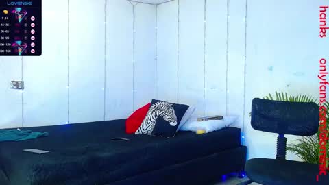 Snapshot of dominic_hanks chatting on 01/24/25, 07:51 DOMINIC AND ANDREW online show from 01/24/25, 07:51