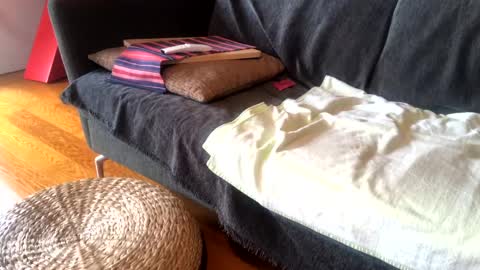 Alfredo online show from 01/15/25, 09:02