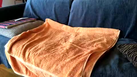 Alfredo online show from 02/07/25, 08:55