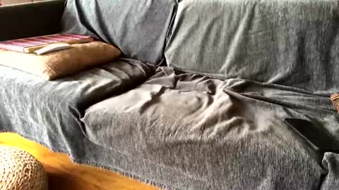 Alfredo online show from 02/09/25, 09:47