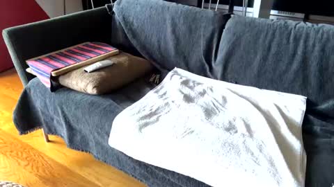 Alfredo online show from 02/17/25, 09:46