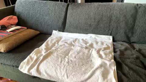 Alfredo online show from 09/16/25, 10:27