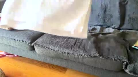 Alfredo online show from 09/19/25, 11:00