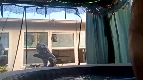 doobie1717 online show from 09/28/25, 12:43