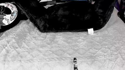 DOOM online show from 03/04/25, 05:56