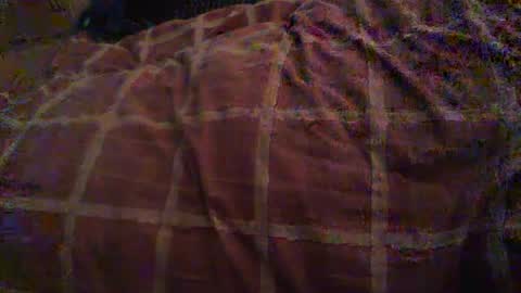 Snapshot of dorsetbiker714 chatting on 10/26/25, 10:54 Hello welcome to Slutsville I am the Naked Chef really but you may call me Peter online show from 10/26/25, 10:54