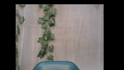 linda online show from 10/18/25, 09:59