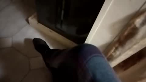 Snapshot of dthedog12 chatting on 10/24/25, 01:03 dthedog12 online show from 10/24/25, 01:03