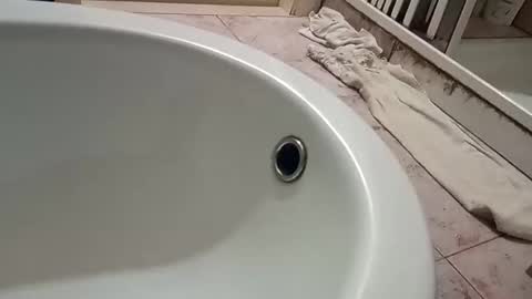 Snapshot of dthedog12 chatting on 11/09/25, 09:46 dthedog12 online show from 11/09/25, 09:46