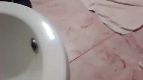 Snapshot of dthedog12 chatting on 11/21/25, 11:58 dthedog12 online show from 11/21/25, 11:58