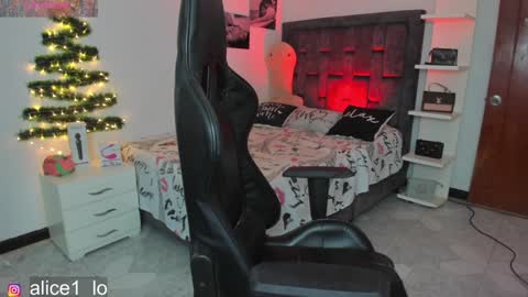 Snapshot of dulce_alice_ chatting on 12/10/24, 01:44 ALICE online show from 12/10/24, 01:44