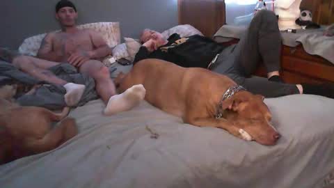 dustinwyant1983 online show from 11/08/25, 07:12