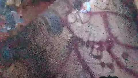 dwadek081704 online show from 11/02/25, 02:52