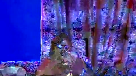 ebonybloom01 online show from 09/20/25, 05:03