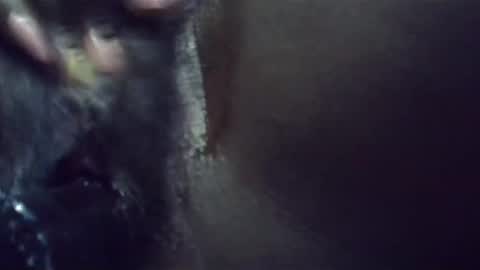 ebonykiki online show from 01/23/25, 11:36