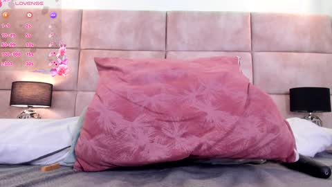 Eevee online show from 01/13/25, 02:53