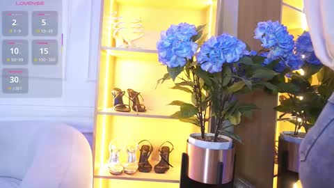 Elasummeer online show from 11/17/25, 12:00