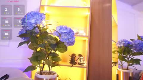 Elasummeer online show from 11/20/25, 11:54