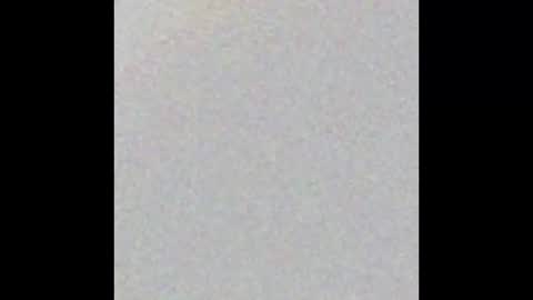 elektra online show from 11/18/25, 04:06