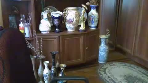 ElenaZed online show from 10/13/25, 11:43