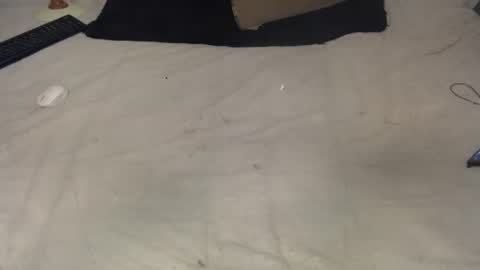 elgsslt online show from 12/22/24, 08:03