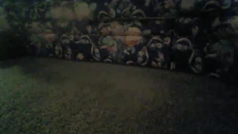 Snapshot of elitehoncho chatting on 11/13/25, 08:46 jeff online show from 11/13/25, 08:46