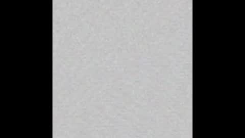 Ellie online show from 11/02/25, 09:11