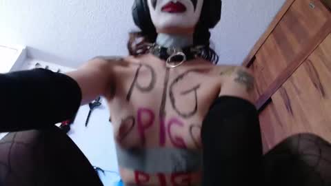 Snapshot of eloise_brown_ chatting on 12/24/24, 07:55 Chelsea Please help me to reach 100 thumbs up online show from 12/24/24, 07:55