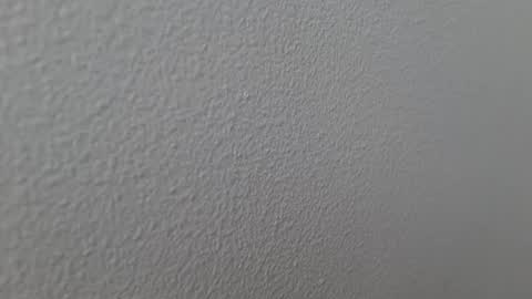 elosocazador online show from 12/13/24, 07:43