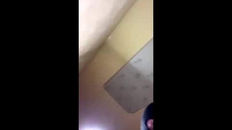 Emily online show from 10/14/25, 08:20