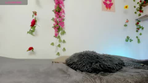 Snapshot of emily_coraline chatting on 02/06/25, 06:35 Emily online show from 02/06/25, 06:35