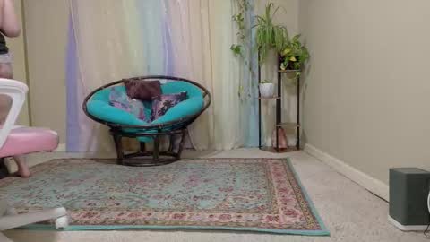 emily haze online show from 10/24/25, 06:26