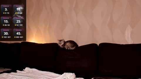 Shaiya online show from 03/02/25, 08:29