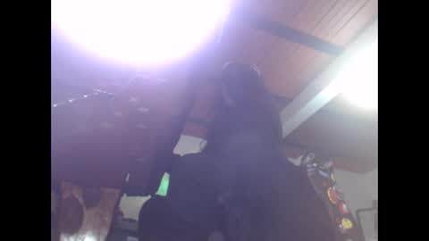 Eskela911 online show from 02/16/25, 05:37