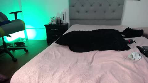 Perla online show from 11/12/25, 06:03