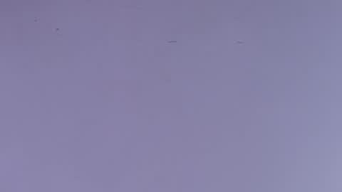 Snapshot of estrella_hanks_ chatting on 10/01/25, 12:00 Estrella online show from 10/01/25, 12:00
