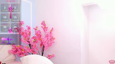 evahalston online show from 01/16/25, 07:31